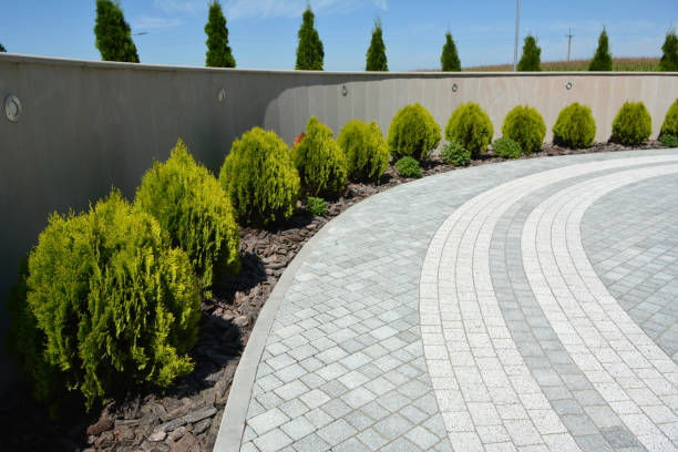 Best Residential Paver Driveway  in Tomah, WI
